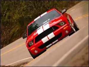 Super, Shelby, Ford Mustang