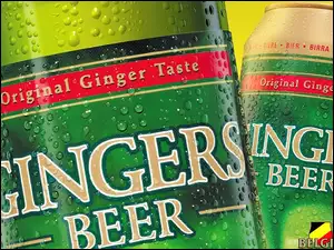Gingers Beer, Piwo