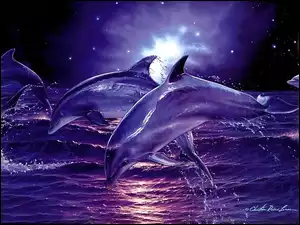 Fale, Delfiny, Morze