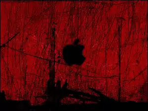 iPodów, Apple, Producenta