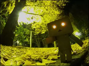 Kartonowy, Park, Ludek, Danbo