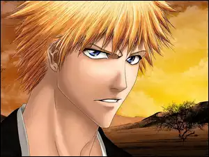 Twarz, Bleach, Ichigo