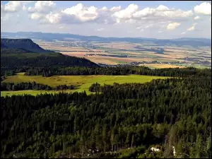 Widok, Lasy, Góry, Łąki