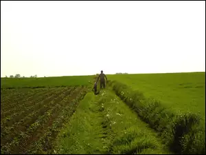 Dziecko, Spacer, Łąka