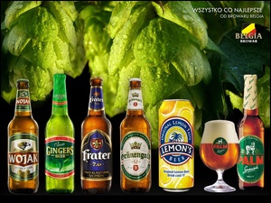 Piwa, Rożne, Marki