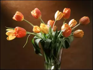 Wazon, Tulipany, Szklany