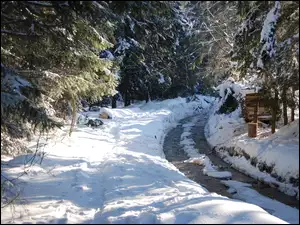 Las, Góry, Potok, Zima