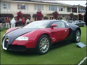 Czerwony, Trawa, Czarny, Veyron