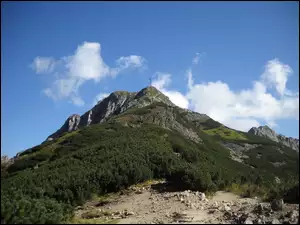 Szczyt, Giewont