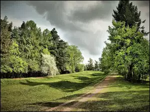 Chmury, Park, Ciemne