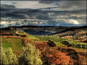 Winnice