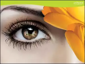 Oriflame, Oko, Makijaż, Kobieta, Kosmetyki