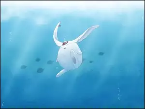 Mokona