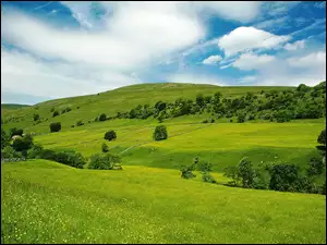 Chmury, Zielona, Łąka