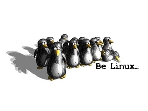 System, Pingwinów, Linux, Gromadka