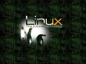 System, Linux