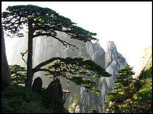 Chiny, Góra, Huang Shan