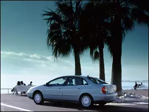 Citroen C5, Drzewa