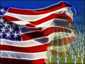 Krzyże, Flaga, USA