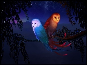 Noc, Sowy