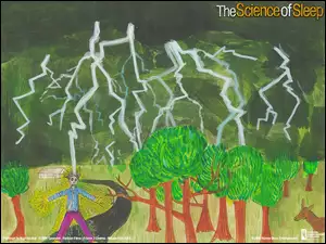 pioruny, ofiara, The Science Of Sleep, drzewa, burza, porażenie
