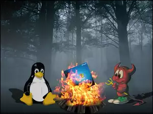 Windows, Linux, Kontra