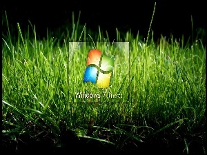 Logo, Windows 7, Trawa