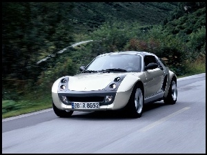 Szary, Smart Roadster