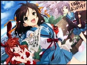 napisy, Suzumiya Haruhi No Yuuutsu, kartka