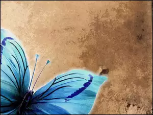 Niebieski, Motyl