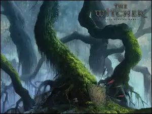 las, The Witcher, strzały, tarcza, drzewo
