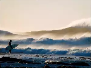 Surfer, Fala