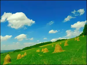 Pole, Snopki