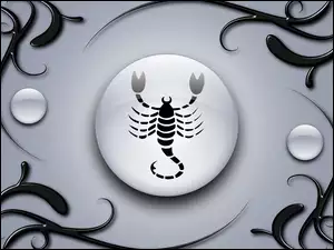 Skorpion, Znak, Zodiaku