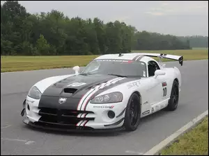 Rajdowa, Dodge Viper, Wersja