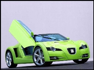 Prototyp, Seat, Roadster