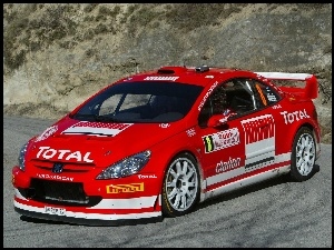 Peugeot 307 WRC