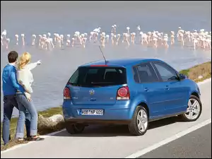 Hatchback, Volkswagen Polo, Miejski