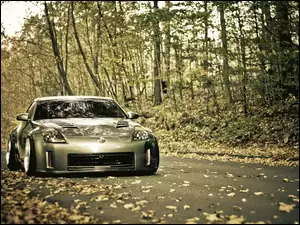 Nissan 350Z, Droga