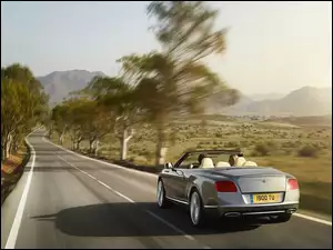 Bentley Continental GTC