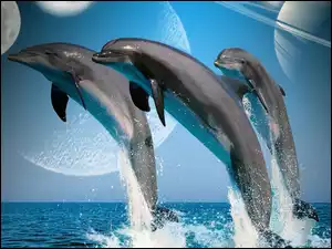 Planety, Delfiny, Woda