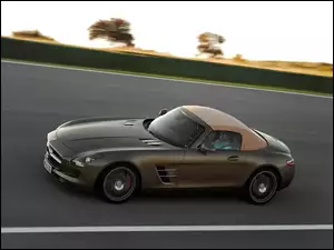Mercedes-Benz SLS Roadster, Kolorystyka, AMG, Brązowa