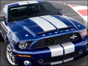 Ford Mustang, Pasy, Shelby, Białe