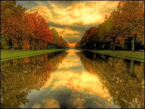 Drzewa, Rzeka, Park