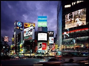 Tokyo, Japonia, Shibuya
