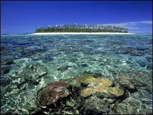 Wyspa, Ocean