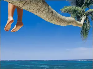 Palma, Nogi, Plaża