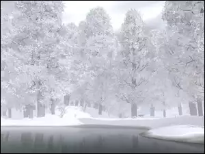 Jezioro, Zima, Las