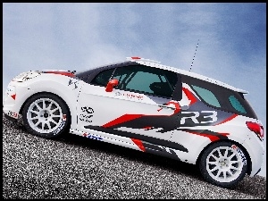Rajdowa, Citroen DS3, Wersja
