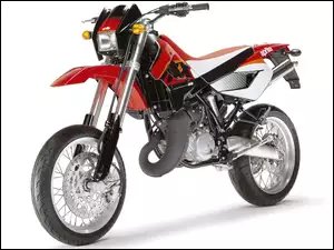 Enduro, Aprilia, Motor, RXV 4.5, Cross